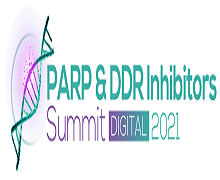 4th Annual PARP & DDR Inhibitors Summit
