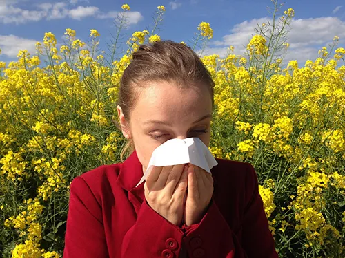 Adult allergy clinic