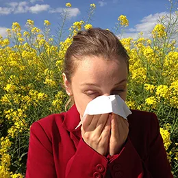 Adult allergy clinic