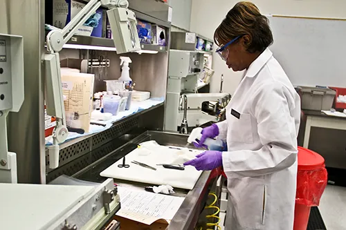 Dermatopathology laboratory