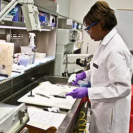 Dermatopathology laboratory