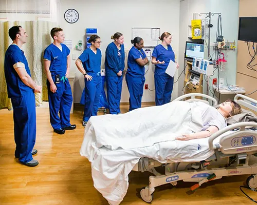 Obstetric medicine service