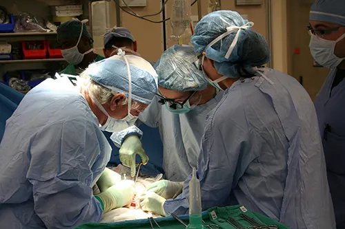 Kidney and transplantation clinics