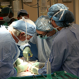 Kidney and transplantation clinics