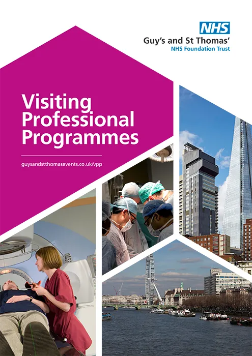 Visiting Professional Programmes