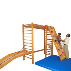 Activity Fun Gym (Indoor)