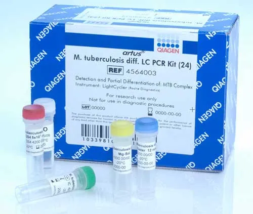 Gene Expression Analysis